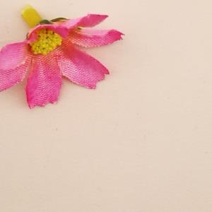 聚酯纤维