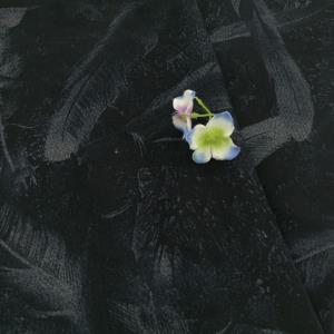 男装针织混纺弹力绒面印花