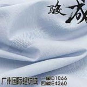 天丝麻提纹面料 本档主营:亚麻,苎麻,麻棉,天丝麻,丝麻,锦麻,色织麻,砂洗麻,数码印花麻，皱麻,灯芯绒,牛仔,黄麻,仿麻等服装麻布面料,时尚面料,工艺面料,手袋面料,沙发面料。并免费提供色卡,欢迎各位客商前来参观选购!