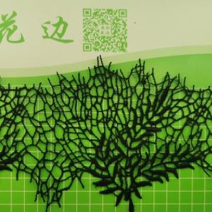 涤光精细花边