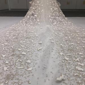 发泡星光点花蕾丝
