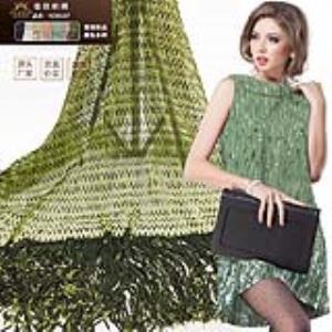 透明网 涤美国网 间断直条+半边瑞瑞 绣花立体绣面料