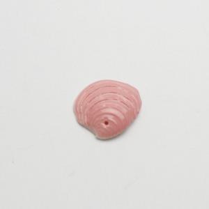 贝壳钮扣