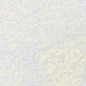 FB8377 羊毛蕾丝 40%Wool 40%Acrylic 20%Nylon