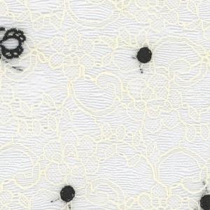 LACE 蕾丝面料 【现货】档口可取版