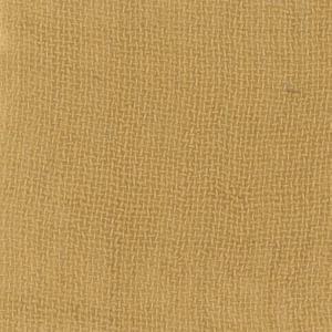 现货全棉透纱感料