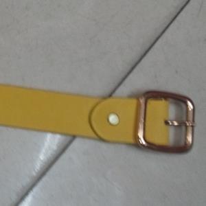 皮带