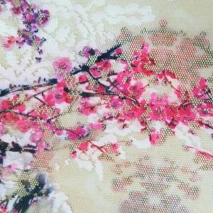 蕾丝
