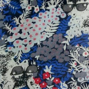 兰色布