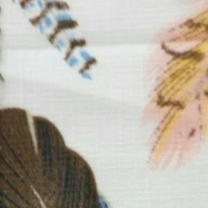 竹节麻