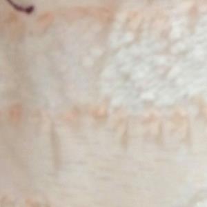 棉布