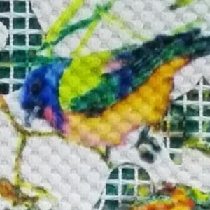 tc
