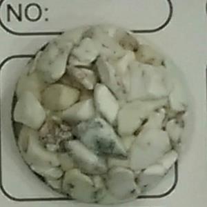 树脂扣子