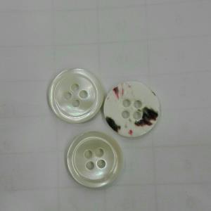 贝壳钮扣