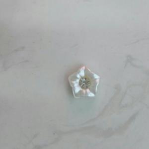 皱纹珠