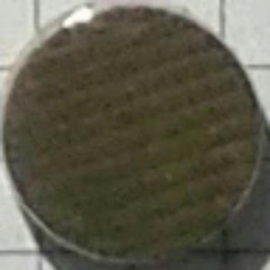 真牛角纽扣