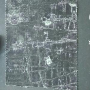 风衣羽绒化纤面料
