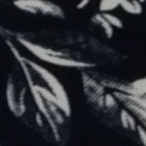 全棉