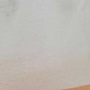 麻