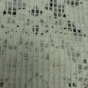 染色复合