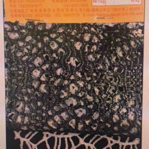 蕾丝烫金/雪纺工艺/网布印花/烫金面料/进口韩国面料/烫银加工/复合面料/植绒烫银/睫毛蕾丝/网眼布料/坑条布/冲片加工/冰丝烫金/蛇纹/豹纹