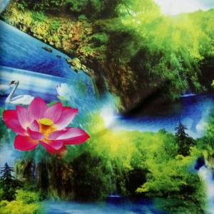 有山有水有花有天鹅