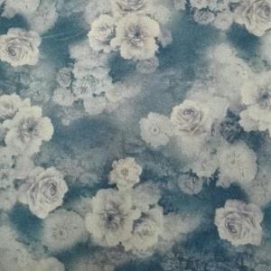 玫瑰花
